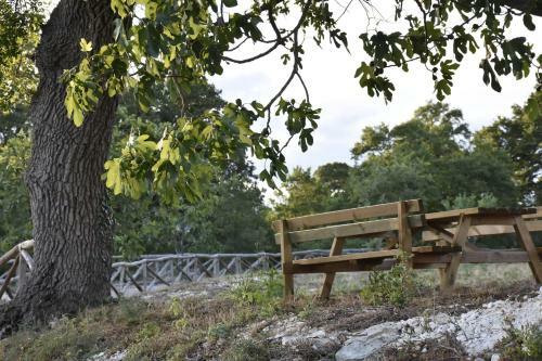 Bed & Breakfast Masseria Mazzalorsa