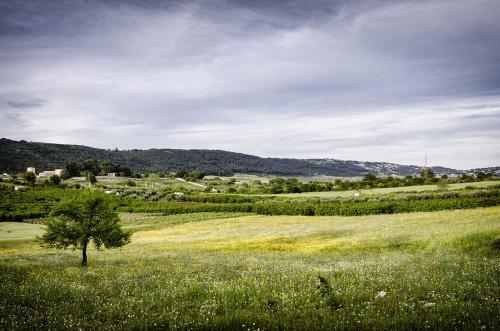 Bed & Breakfast Masseria Mazzalorsa