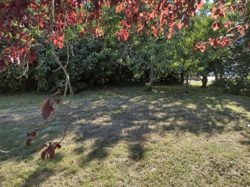 Charming 1-bed House In Genouille