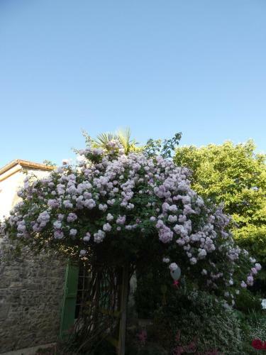 Hostal O 4 Saisons De Breilbon