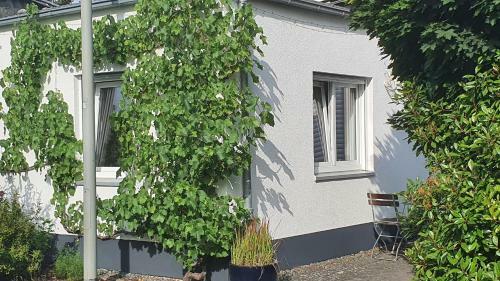 Apartamento 31 M� Eigentumswohnung In M�hrendorf