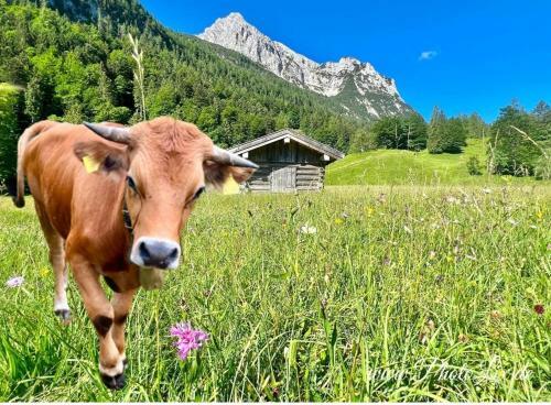 Apartamento 34 - Fewo Wettersteinblick