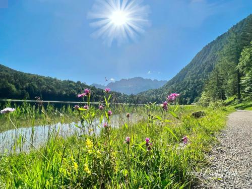 Apartamento 13 - Sparfuchs-fewo Fiona