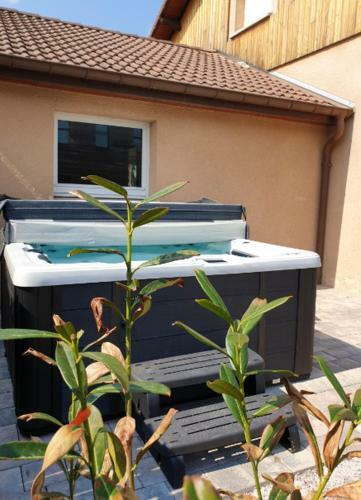 Maison De 4 Chambres Avec Jacuzzi Jardin Clos Et Wifi A Gerardmer