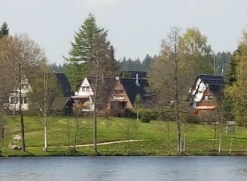 Seewiese