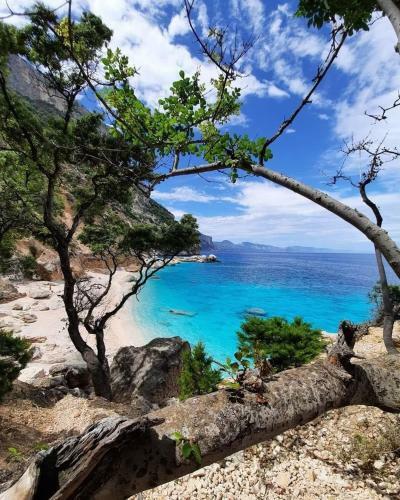 Apartamento Vacanze Al Mare Da Alessandro