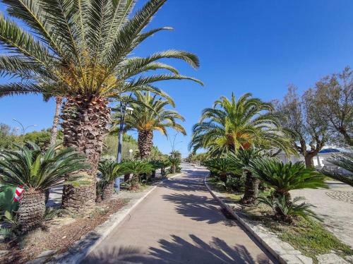 Apartamento Bilocale Vegas Prima Fila Mare
