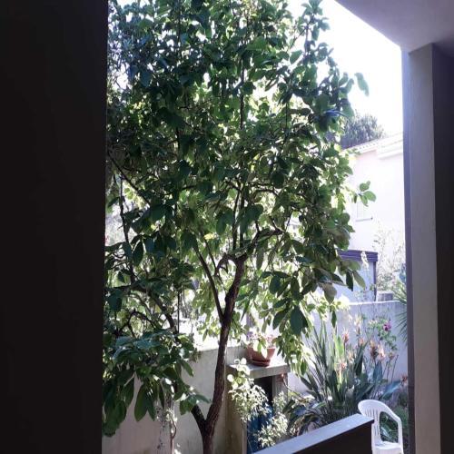 Apartamento Casa Giovanni