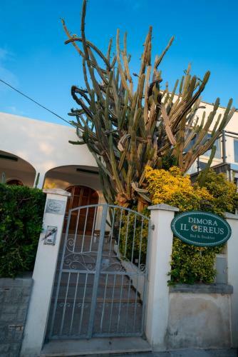 Hostal Il Cereus