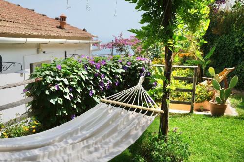 Starhost - Villa Ipomea