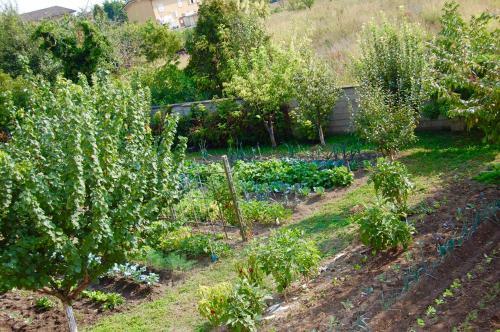 B&B Il Glicine