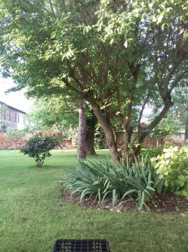 B&B Il Glicine