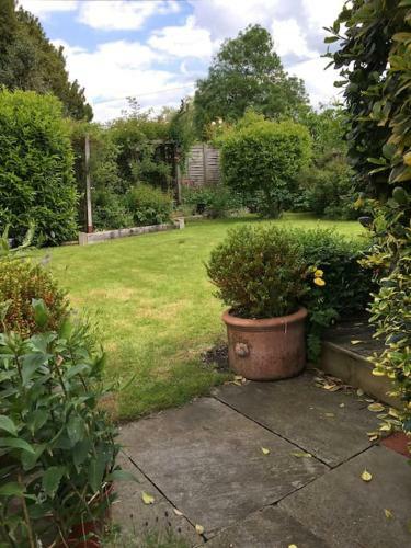 Charming Country Cottage With Garden