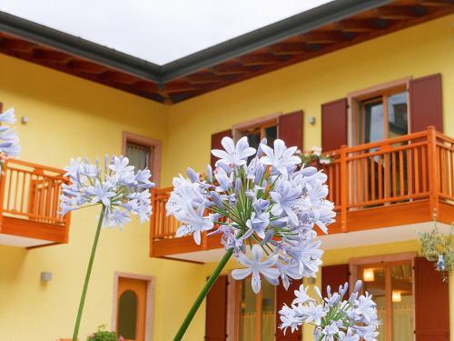 Agroturismo Agritur Ai Masi