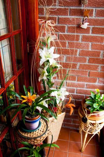 Hazelbrook Bed & Breakfast