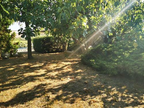 Charmante Maison De 100m2 Sur 1100m2 Terrain