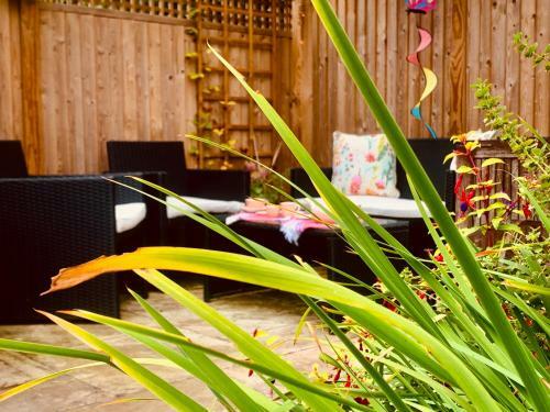 Bed & Breakfast Sunshine Cottage