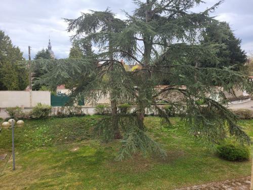 Apartamento Studio R�cent R�sidence Charles Quint