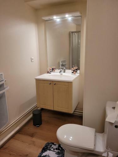 Apartamento Studio R�cent R�sidence Charles Quint