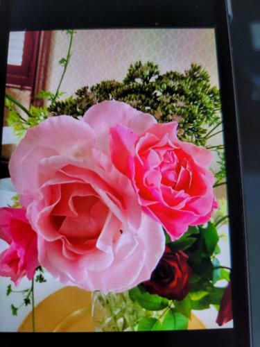 Bed & Breakfast Villa Jeannette