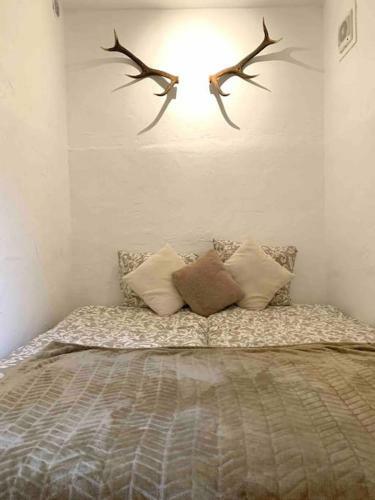 Apartamento Valberg 8 Couchages Cocon Familial