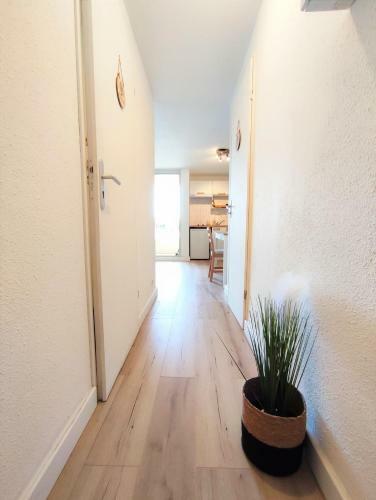 Apartamento Cl�sio