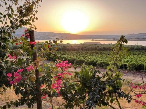 Villa Greta's Dream, Charme, Relax & Nature