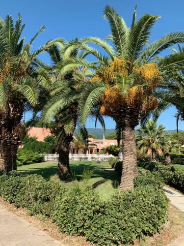 Apartamento Marina Residence Villagio Sant'andrea