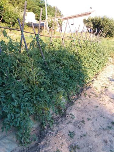 Apartamento Campo Base B&B