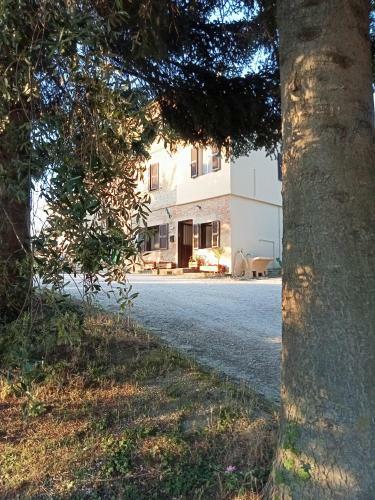 Apartamento Campo Base B&B