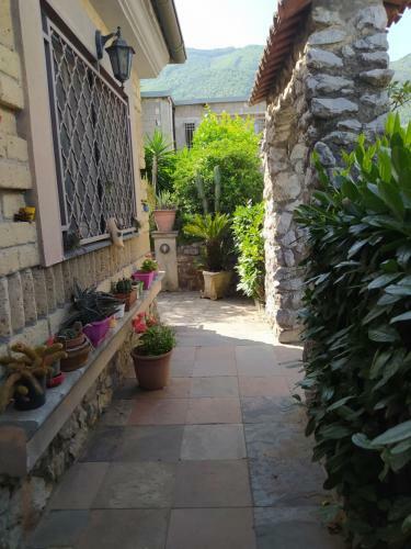 Bed & Breakfast Dog House From Pompei-amalfi