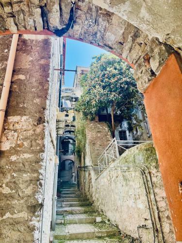 Apartamento Pigna Tommy House
