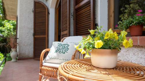 Apartamento Welcomely - Detox House San Leonardo