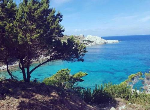 Hostal B&B Bedda Ita