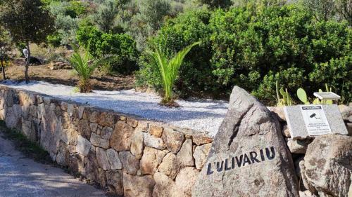 Casa L'ulivariu Bed & Breakfast