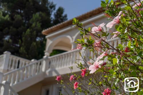 Abahana Villas Treveris
