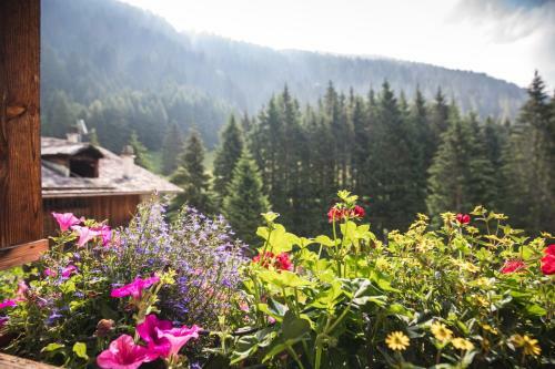 Romance Hotel Chalet Alpenrose Bionatur Wellness