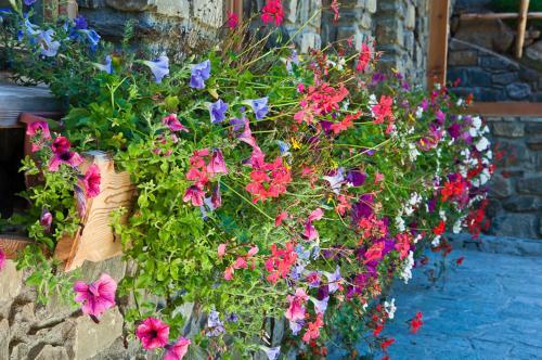 Romance Hotel Chalet Alpenrose Bionatur Wellness