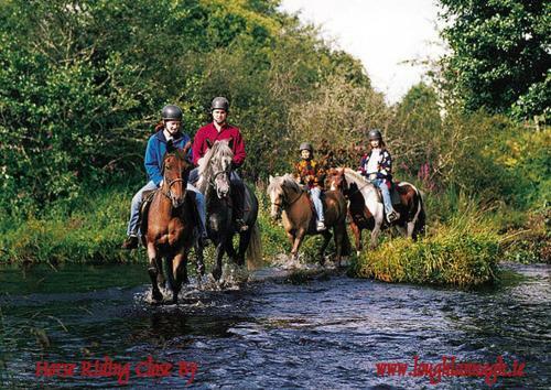 Lough Lannagh Cottages
