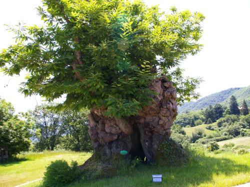 Apartamento Caterina