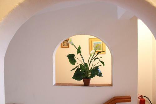 Agroturismo Fattoria Tabarrino