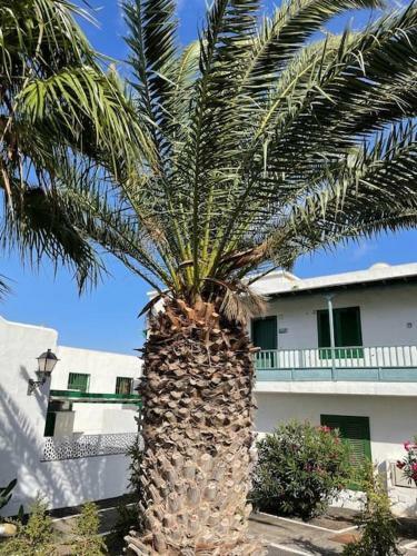 Apartamento Amura En Playa De Las Cucharas