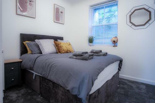 Ivy Cellar - 2 Bedroom Apartment - Tenby