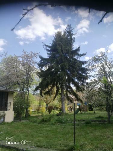 Apartamento Beausejour