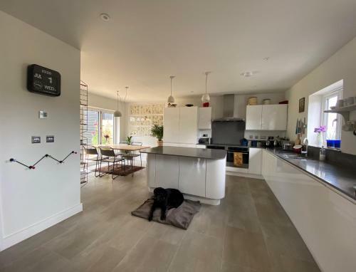 5 Bedroom Modern Home, Totnes - 10 Guests, 7 Day Minimum Booking