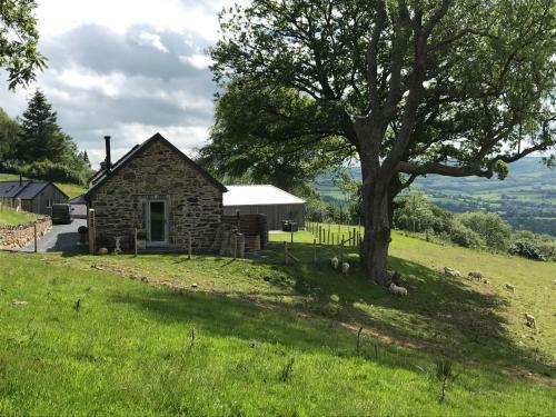 Gelli Newydd