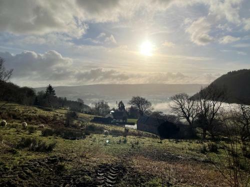 Gelli Newydd