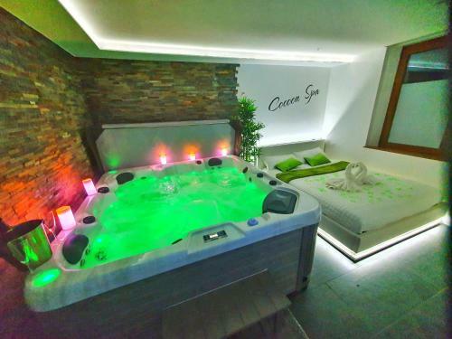 Apartamento -gite Cocoon Spa-jacuzzi-jardin-parking Priv�-climatisation