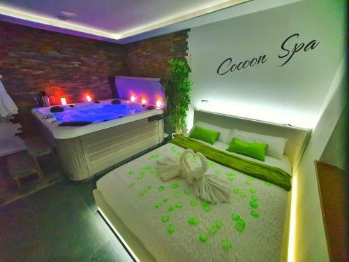 Apartamento -gite Cocoon Spa-jacuzzi-jardin-parking Priv�-climatisation
