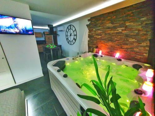 Apartamento -gite Cocoon Spa-jacuzzi-jardin-parking Priv�-climatisation